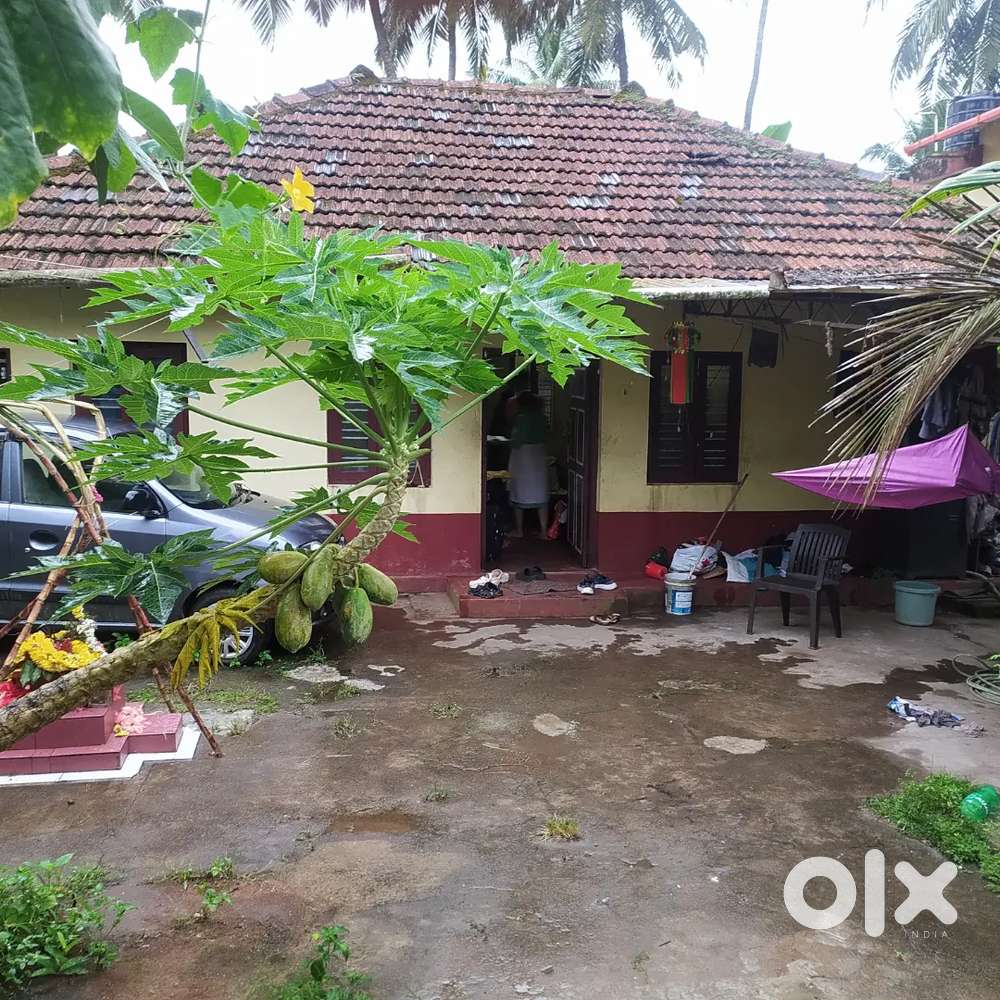 6 cents land 3 bhk tiled house Maryhill 58 lacs neg
