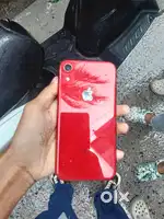 XR 2019 product red