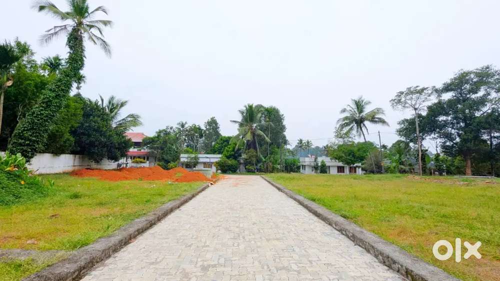 Angamaly Town Near 7-10 Cent Premium Villa Plots-Free Reg- 90%Loan