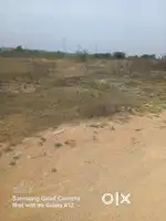 Open land is available