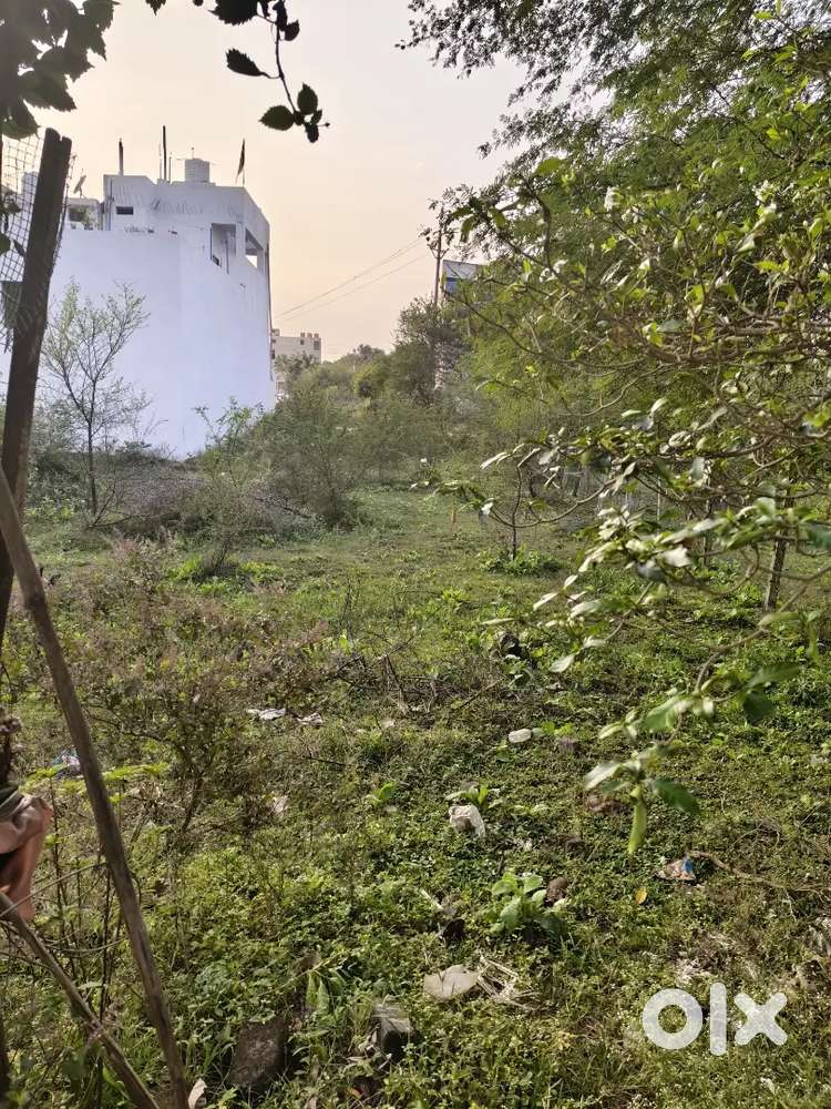 60*30 shivnath colony face:2 Raipur naka