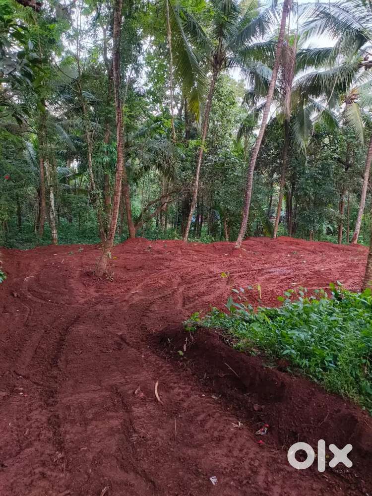 10 cent plot for sale