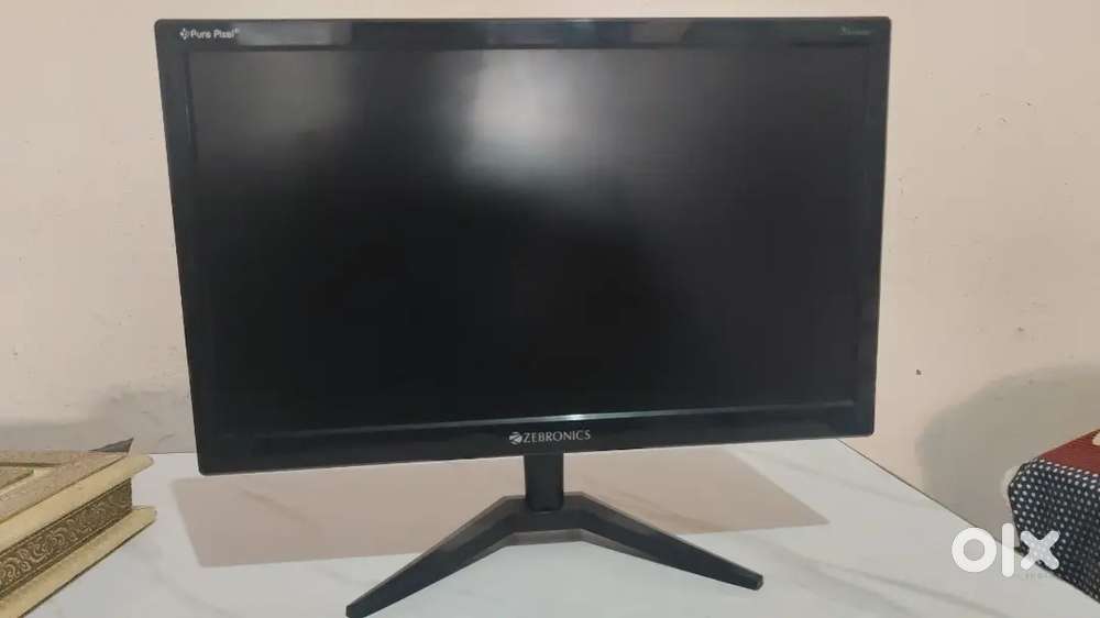 Zebronics led  19 2 year old