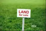 Land for sale 10 cents