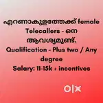 Telecaller Executive