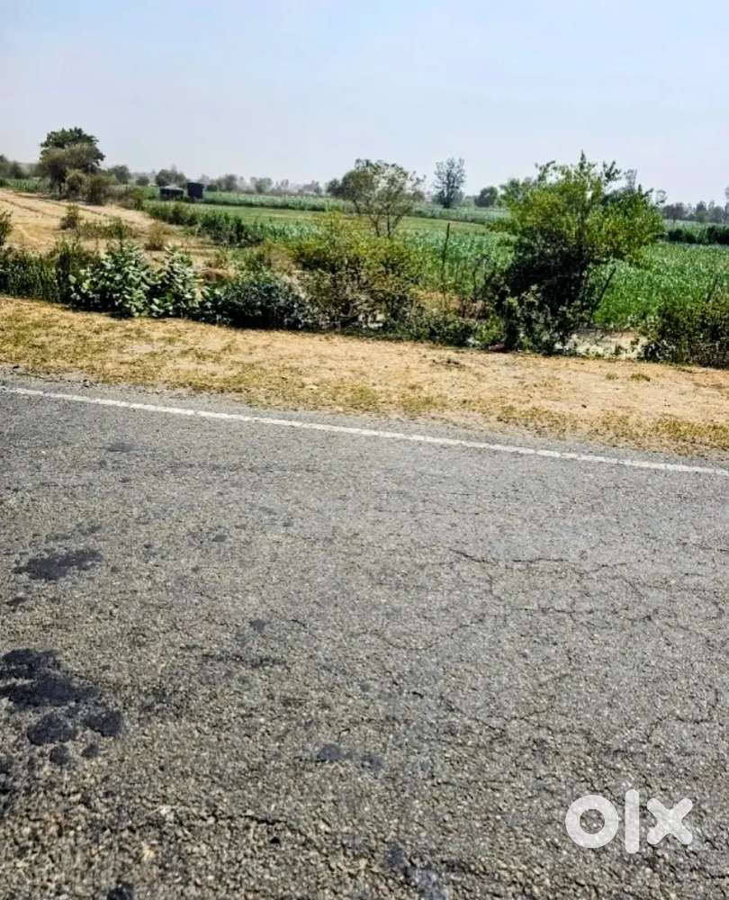 Agriculture  Land for sale in cheap price in Uttar Pradesh 1.50 lakh