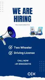 Sales executive