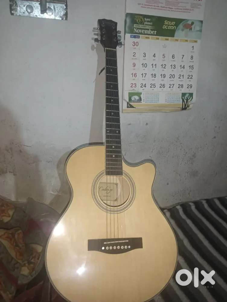 Guitar rose wood