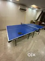 Table tennis table