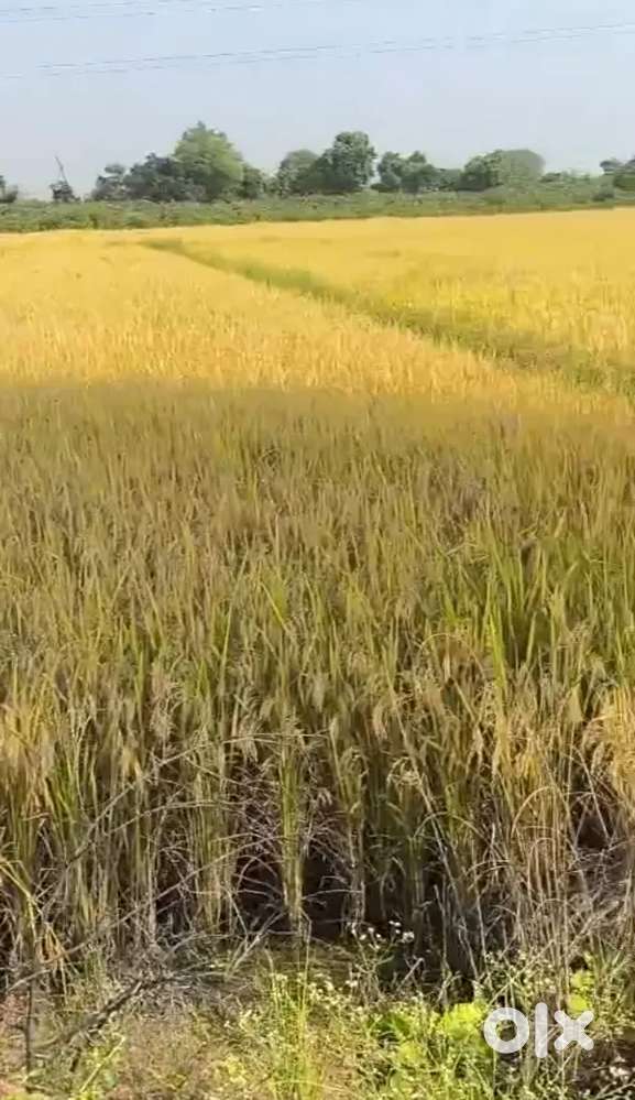 Moda, Nagpur near highway