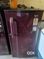 Fridge single door