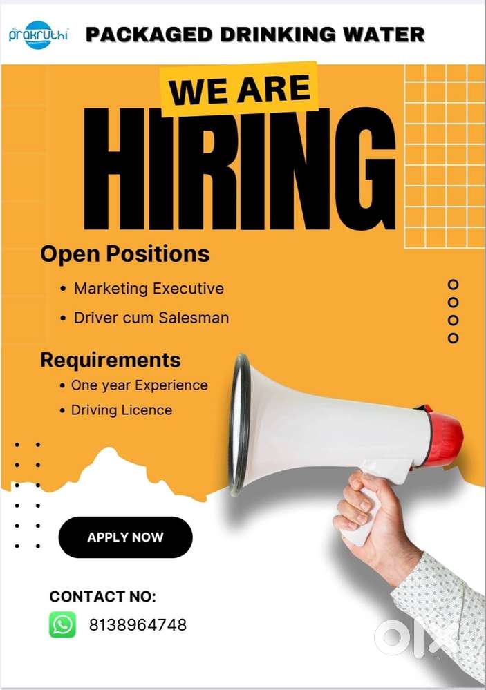 Marketing/Sales Executive