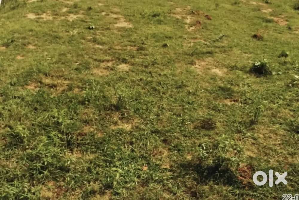 Open Plot  near teachers colony, chenna kesav reddy layout backside