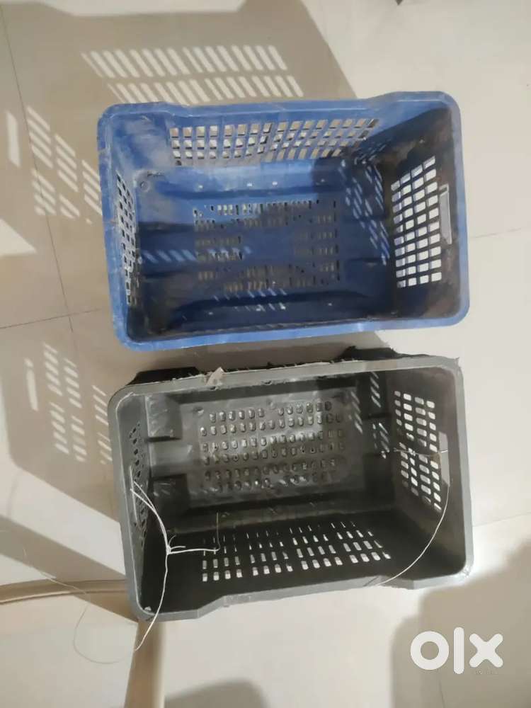 Fruits carret 2 piece