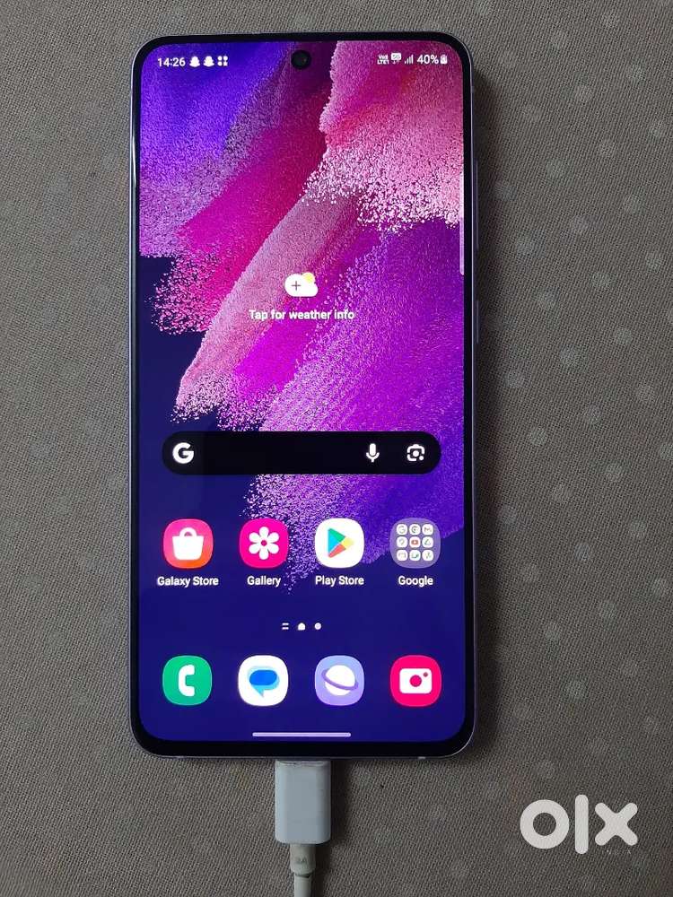 S21fe Snapdragon variant
