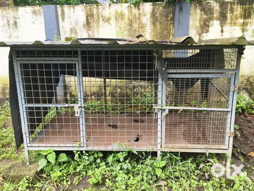Dog cage for sale