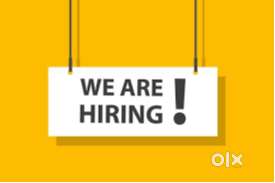 DOCUMENTAION EXECUTIVE