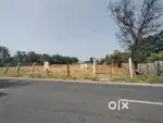 Agri Land for Rent