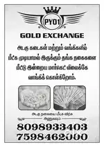 PY01 GOLD EXCHANGE