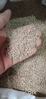 Chicken grower feed,
