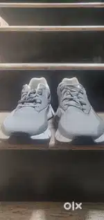 Brand New Reebok shoe