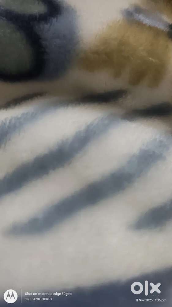 400 sqaure ft area for rent on sharing