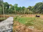 Kodungoor.pallicathodu.rutil.houseplot.10.20.cent.centinu.110000