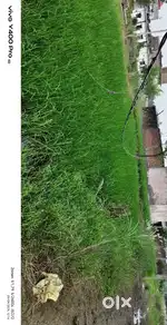 1850plot urgent sell anandpur kicha