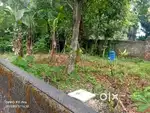 KANGARAPPADY 4 CENT HOUSE PLOTS FOR SALE.1125 LAKHS PER CENT.