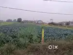 Plot near shiv Colony
