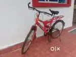 BRIJ Cycle for Sale