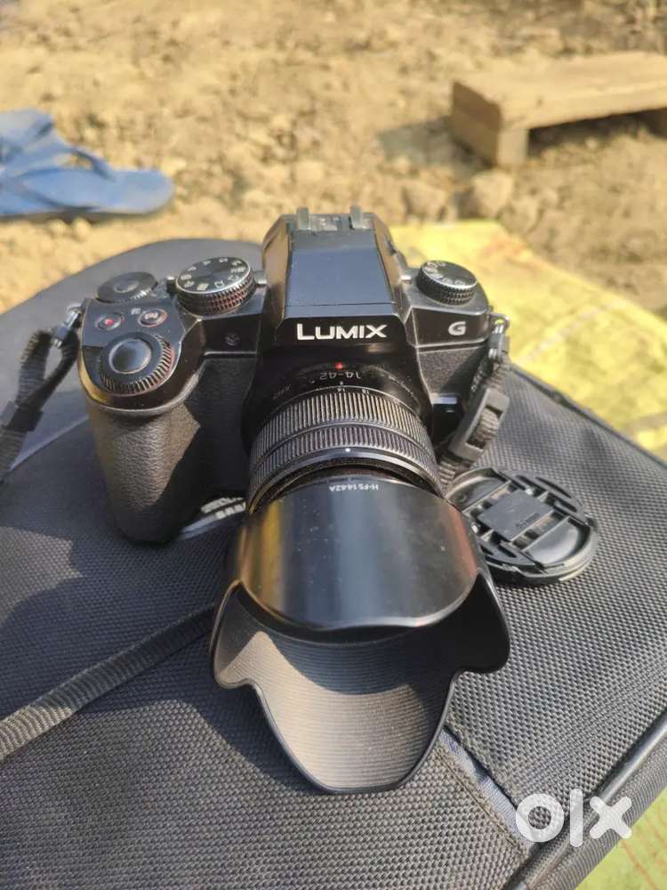 Lumix -g85 2batry charger