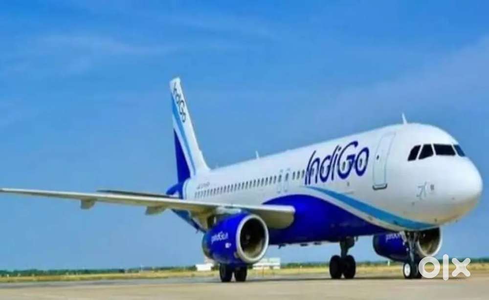 Now We Are Hiring For Ground Staff Jobs In IndiGo Airlines Apply Fast