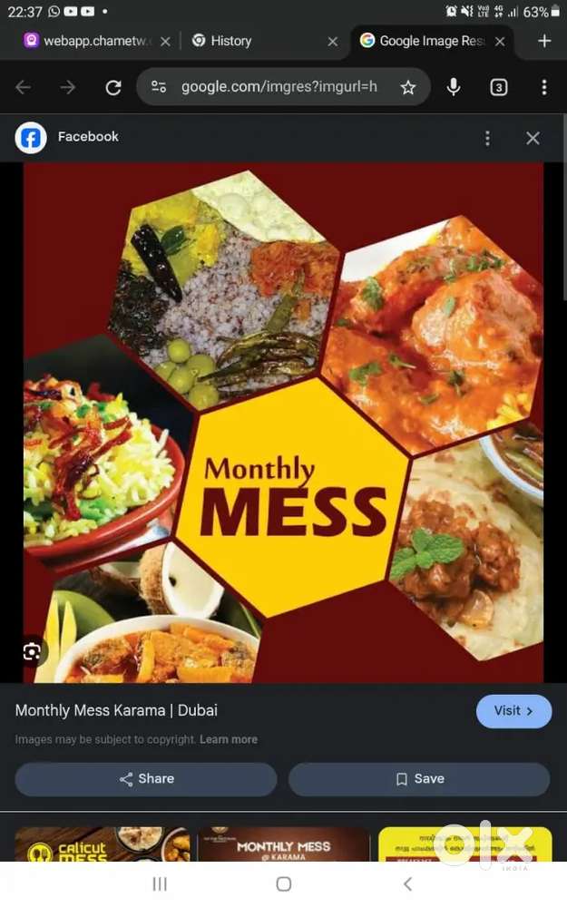 Monthly mess/Home made/Delivery avilable