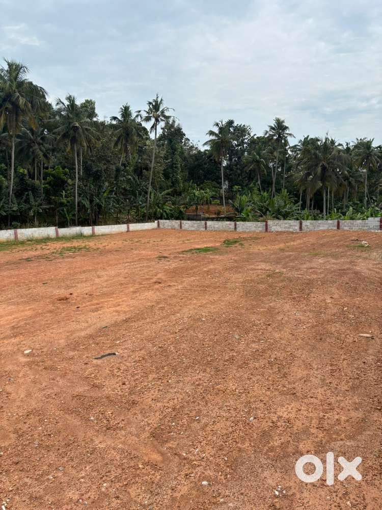 Plots at different dimensions available