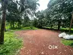 Plot in Kapil, Pallam - 25 cents