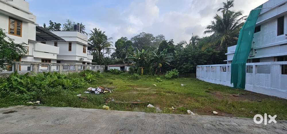 Residential Plot for Sale – 10 Cents in Aymanam