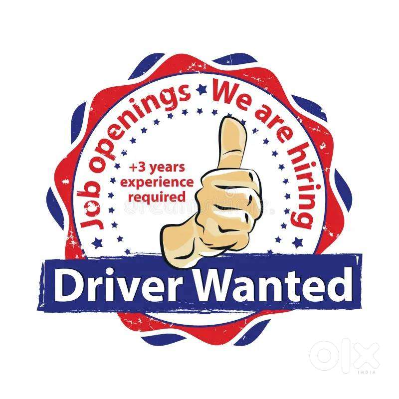 Wanted a professional Drivers