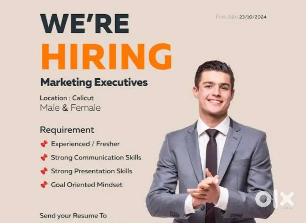 Sales Area Manager