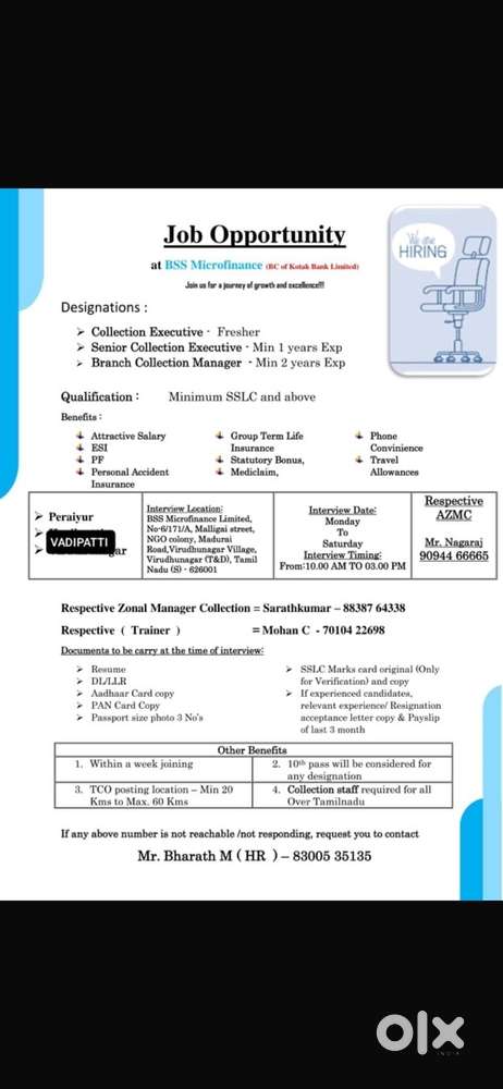 Collection Executive