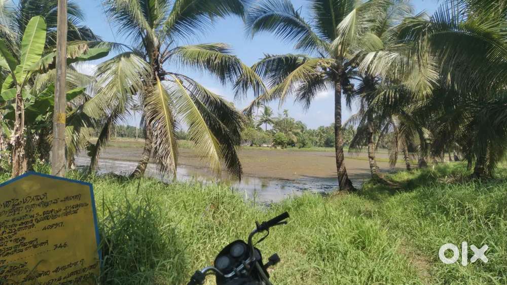 1 acre paddy field and 40cent plot proper place thakazhy. Ambalappuzha