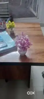 Qr scanner tally calling