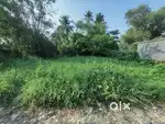 8 Cent Eroor plot