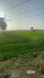Good opportunity for farm house’s etc.