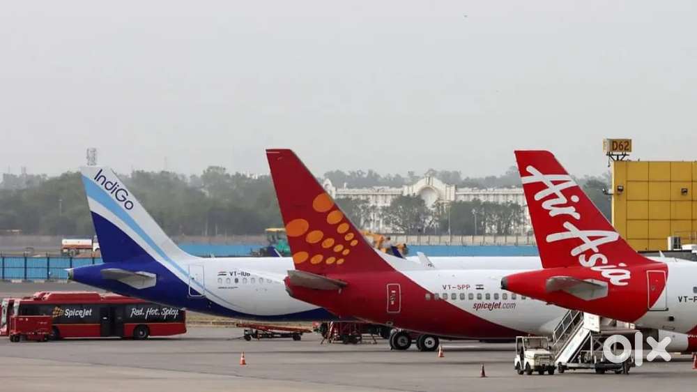 Cabin Crew/ Airport Ground Staff Jobs in Indigo limited vecancy Requi