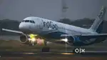 Cabin Crew/ Airport Ground Staff Jobs in Indigo airlines.