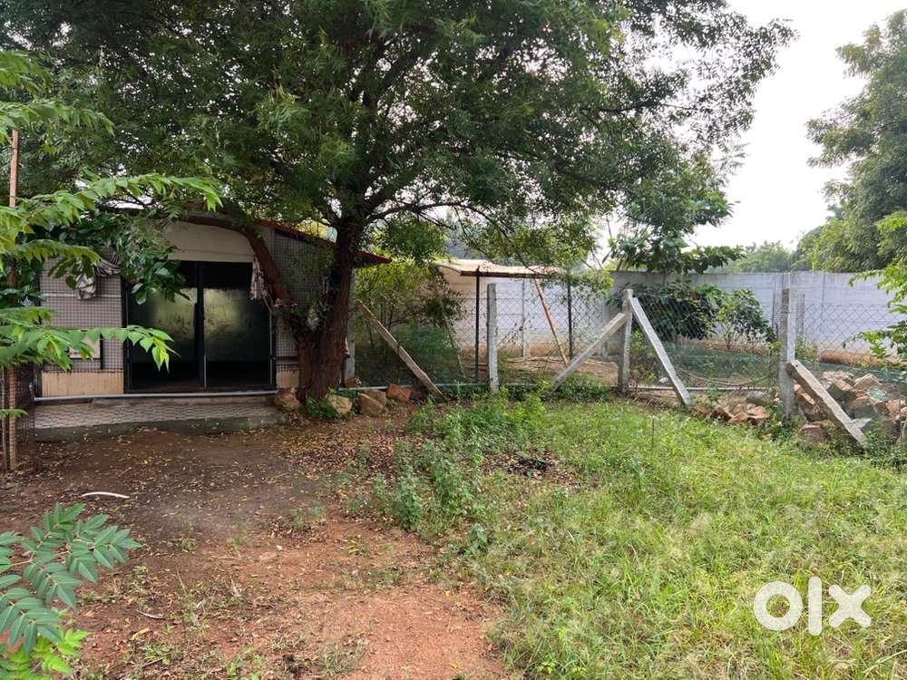 RICH Residential Farmhouse with low cost