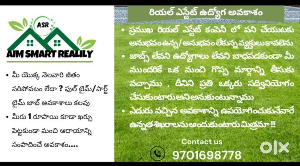 SALES MANAGER