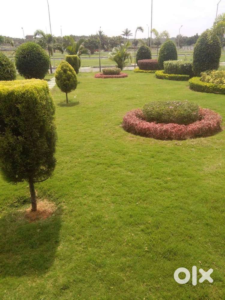 Spacious plot for sale in Chikkaballapura