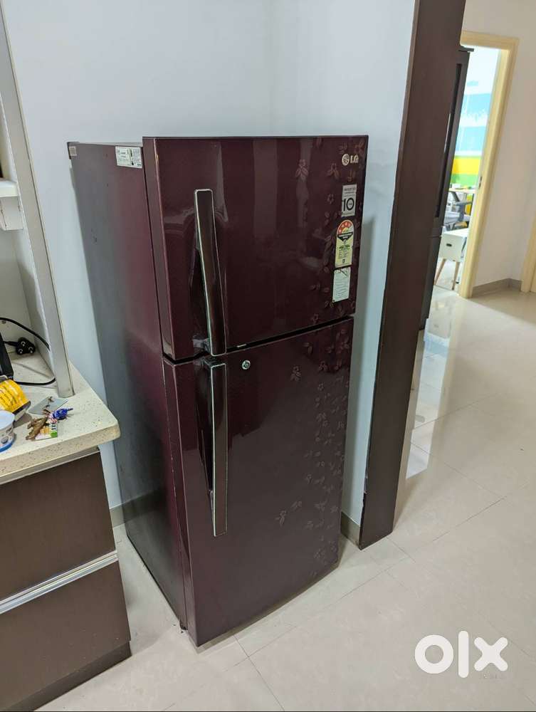 LG Double door 260L fridge